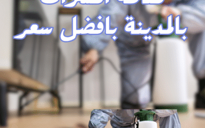 مكافحة حشرات بالمدينة المنورة بخصم 40%