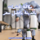 مكافحة حشرات بالمدينة المنورة